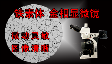 金相顯微鏡鐵素體-微動靈敏圖像清晰[博越儀器]