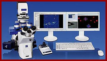 掃描電子顯微鏡價(jià)格-高校合作廠家直銷價(jià)[博越儀器]