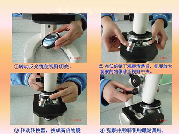 工具測(cè)量顯微鏡工作原理