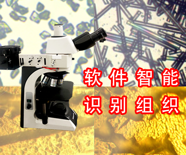 數字金相顯微鏡