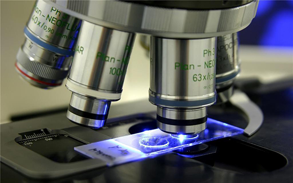 帶測量的金相顯微鏡廠家 帶測量的金相顯微鏡廠家